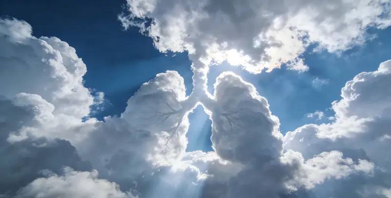 许昌肺癌靶向39基因检测（组织）图片1