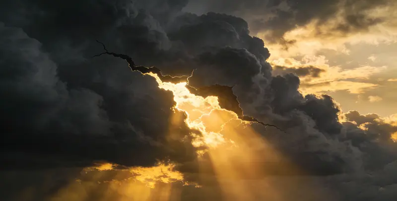 许昌肺癌8基因突变检测（组织）图片1