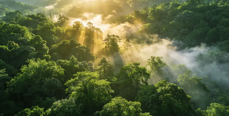 许昌肺癌靶向120基因检测（组织）图片1