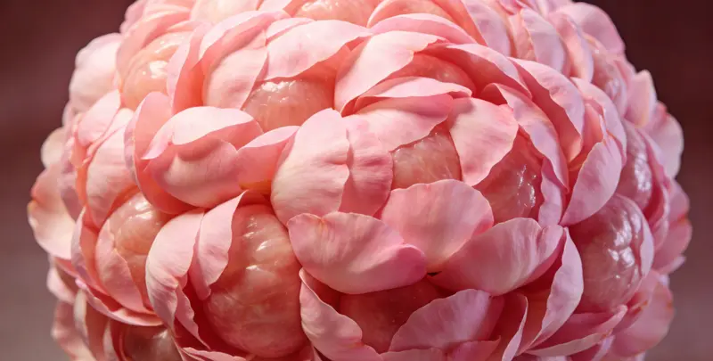 许昌BRCA1/2乳腺癌卵巢癌基因检测图片1